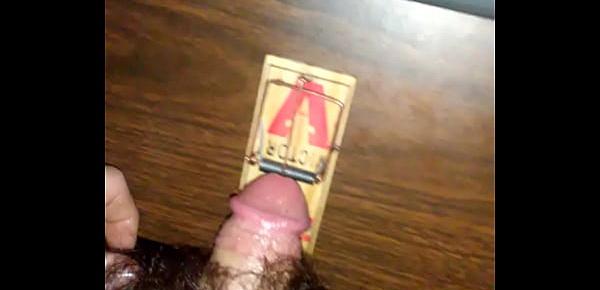  dick in mouse trap